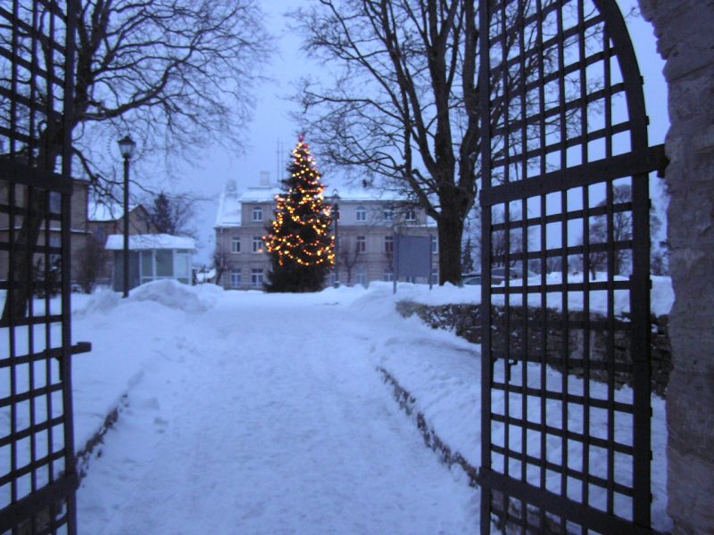 01-290029.jpg