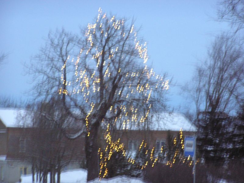 01-290041.jpg
