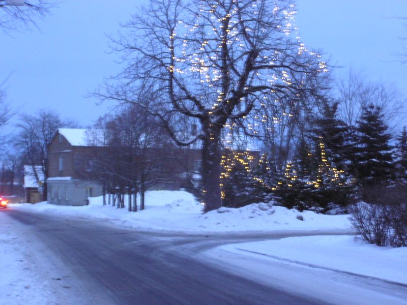 01-290044.jpg
