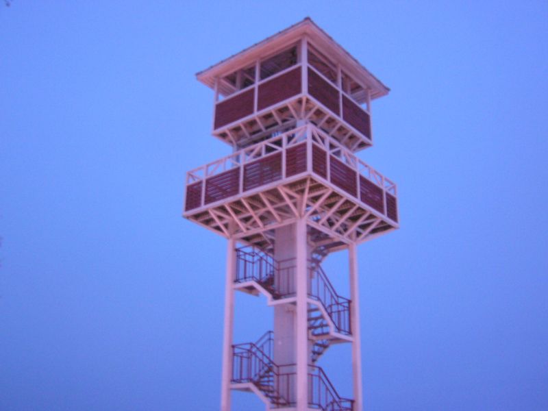 01-290046.jpg