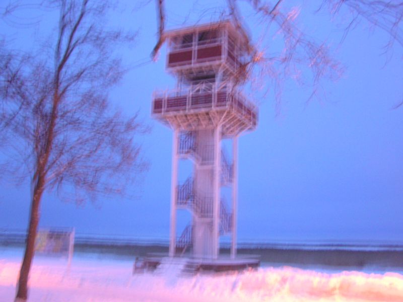 01-290047.jpg