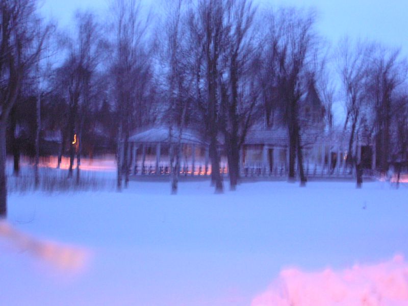 01-290049.jpg