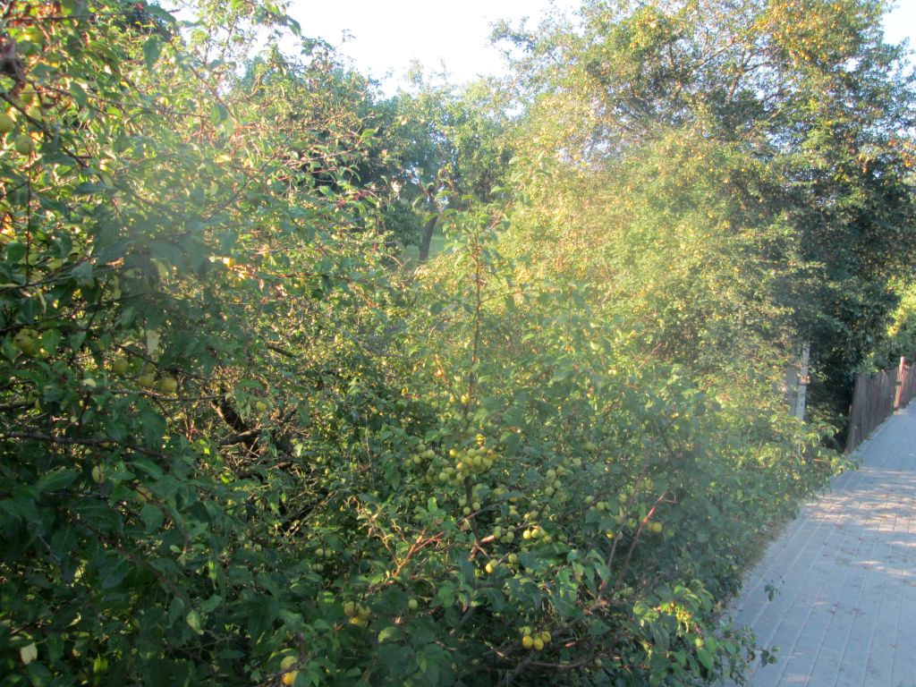 img_3099.jpg