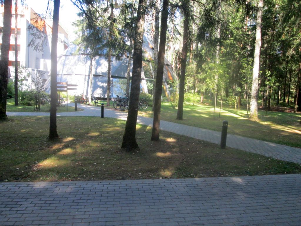 img_3209.jpg