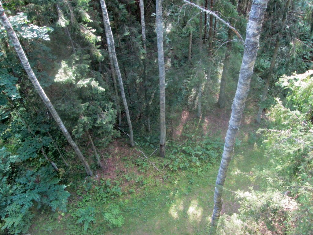 img_3215.jpg