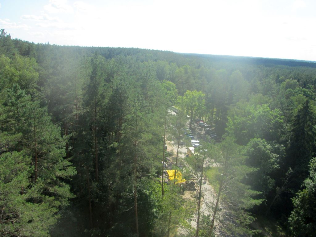 img_3222.jpg